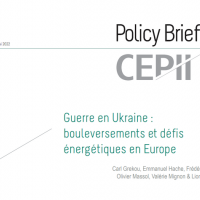 Couverture Policy Brief CEPII