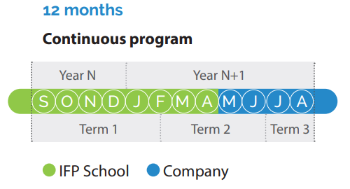 12-month program